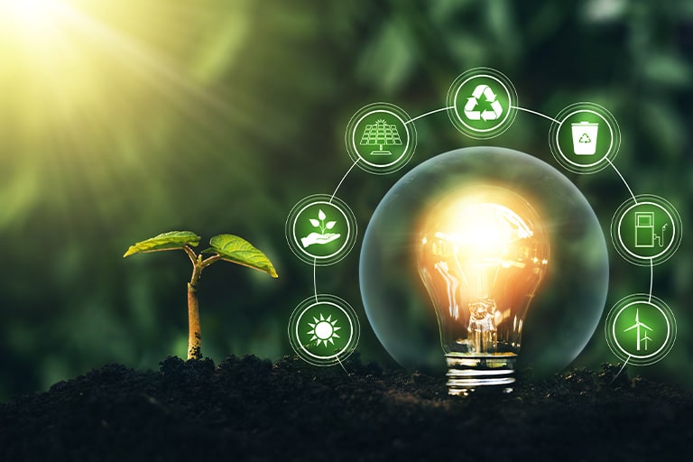 Desarrollo sostenible de las organizaciones